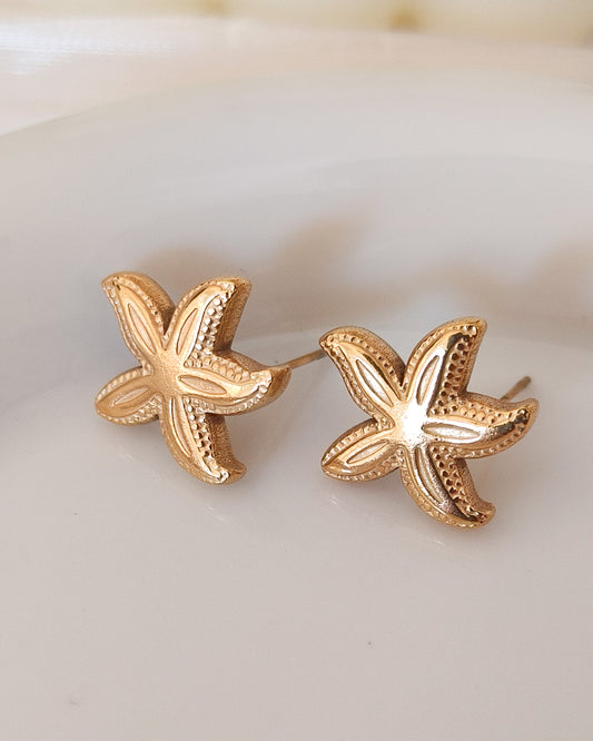 Rebajas -20%-Pendiente estrella de mar pegado