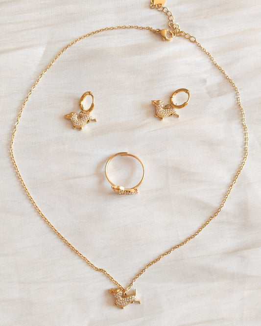 Look Perrito Salchicha Alegria