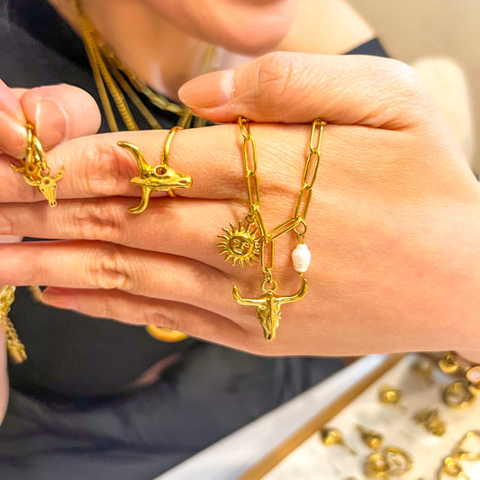 Rebajas -20%-Look TORO COWBOY