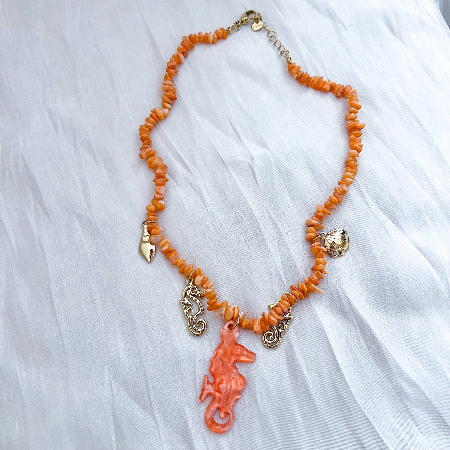 Look Sunset Hawaii (caballito de mar& Charm)