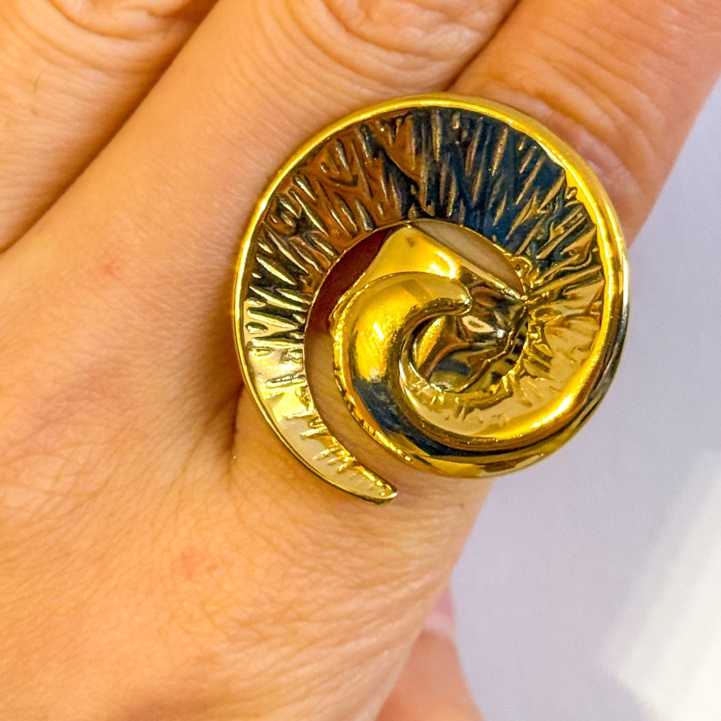 Anillo Espiral Dorada (Curva Esculpida) – Ajustable